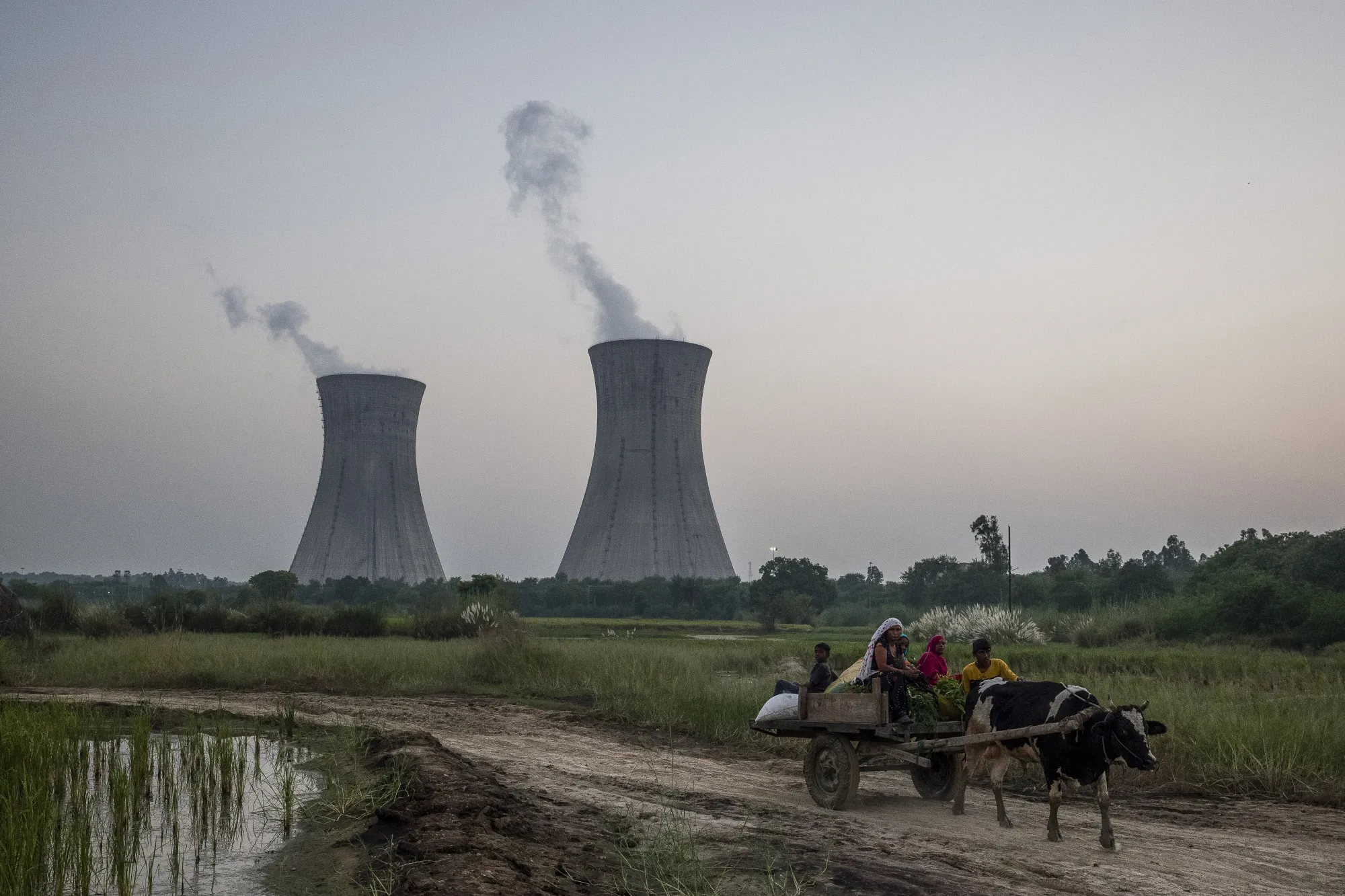 A cattle-pulled cart passes the coal-fired NTPC Ltd. Dadri Power Plant in&nbsp;Uttar Pradesh, India.