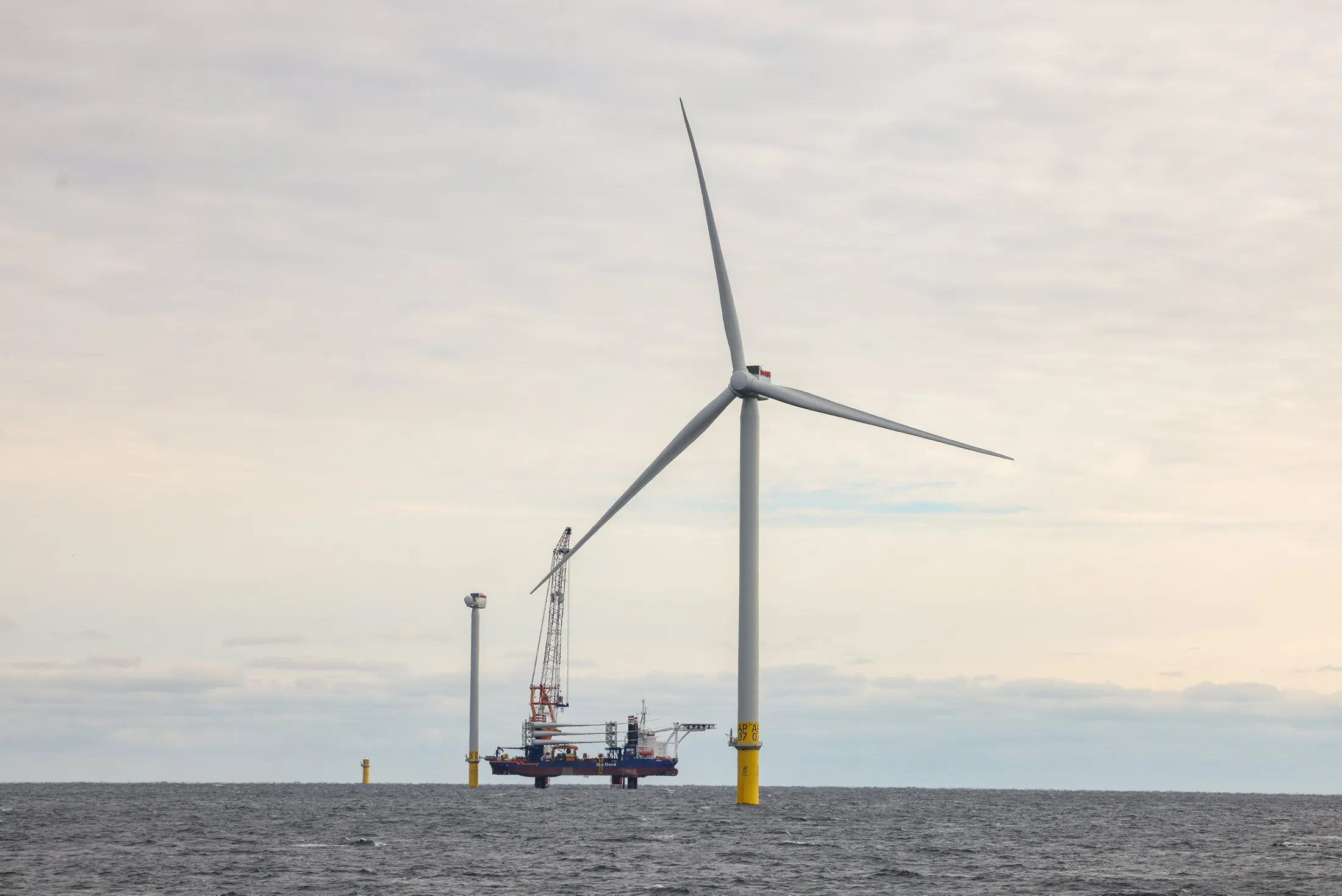 Donald Trump Says He Will End Leasing US Lands for Wind Farms 