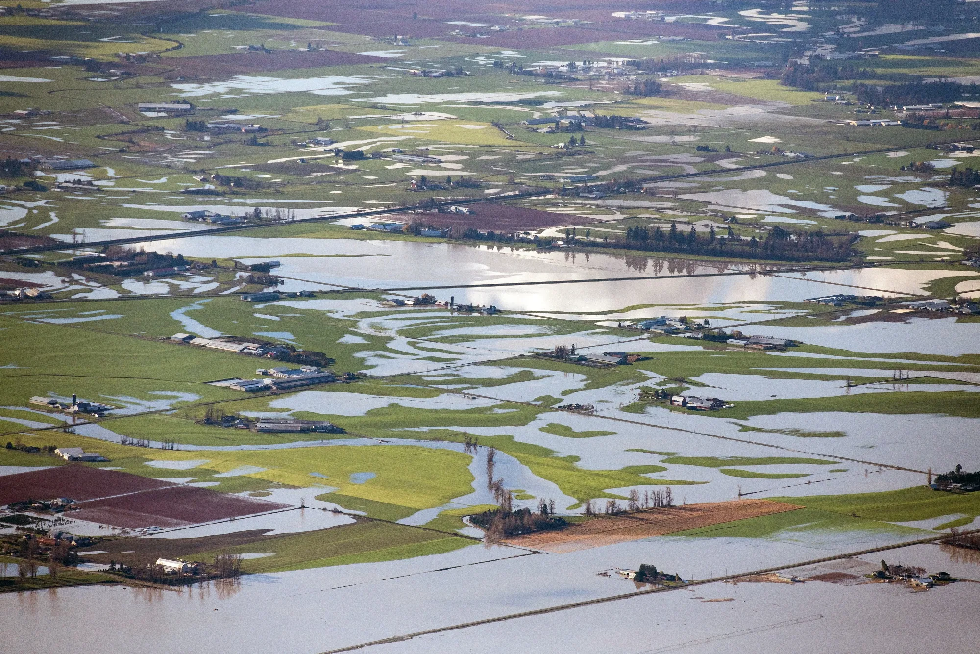 The flooded Sumas Prairie near Abbotsford, British Columbia, on Nov. 19, 2021. 