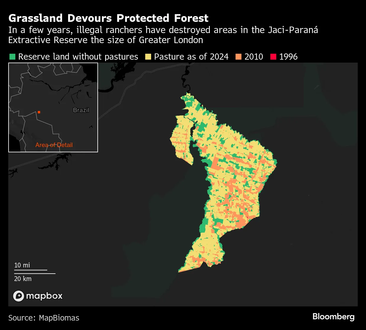 Grassland Devours Protected Forest | In a few years, illegal ranchers have destroyed areas in the Jaci-Paraná Extractive Reserve the size of Greater London