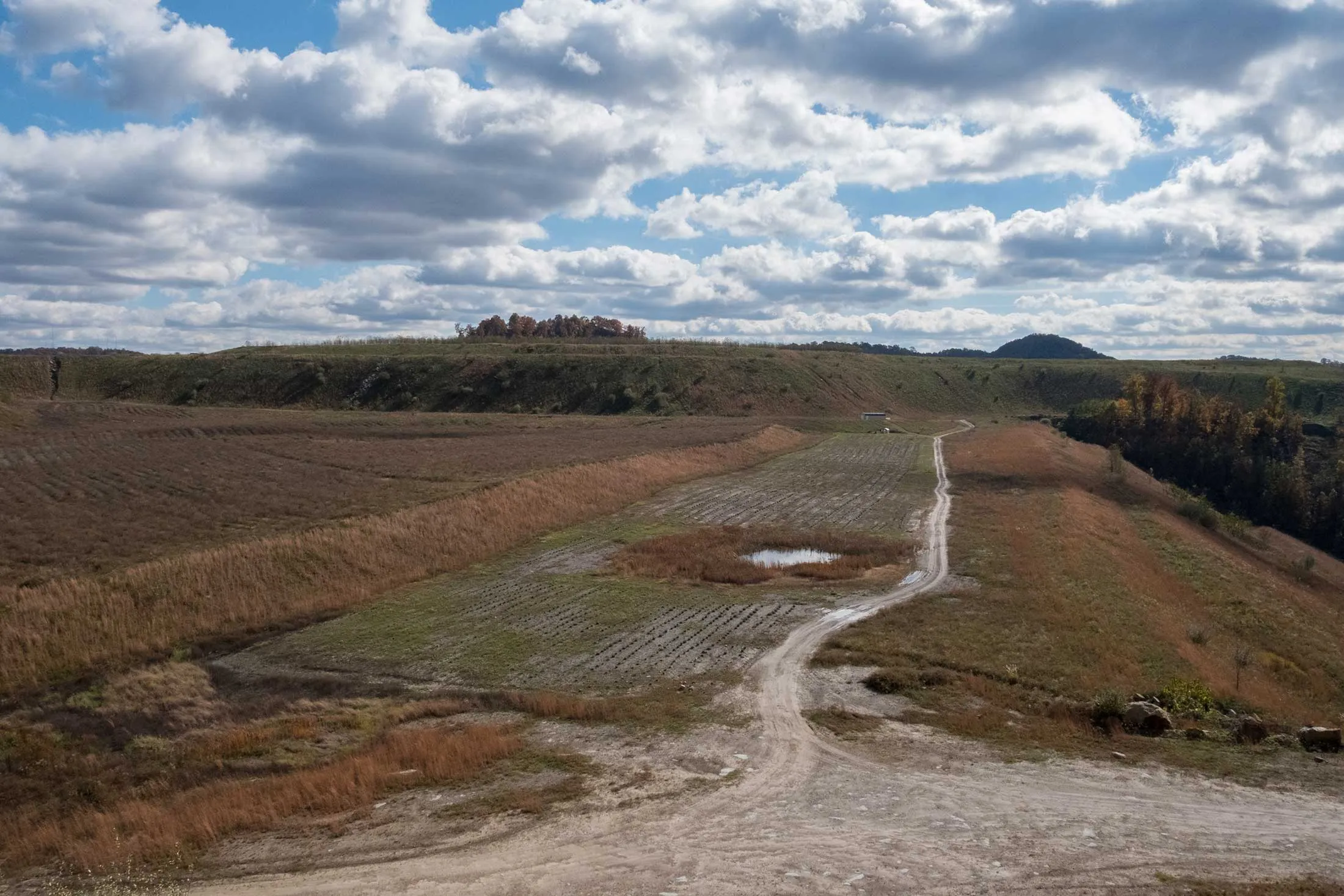 The largest lavender field at the Green Mining project’s Four Mile Mine, a 1,600-acre site in Kanawha County, West Virginia.