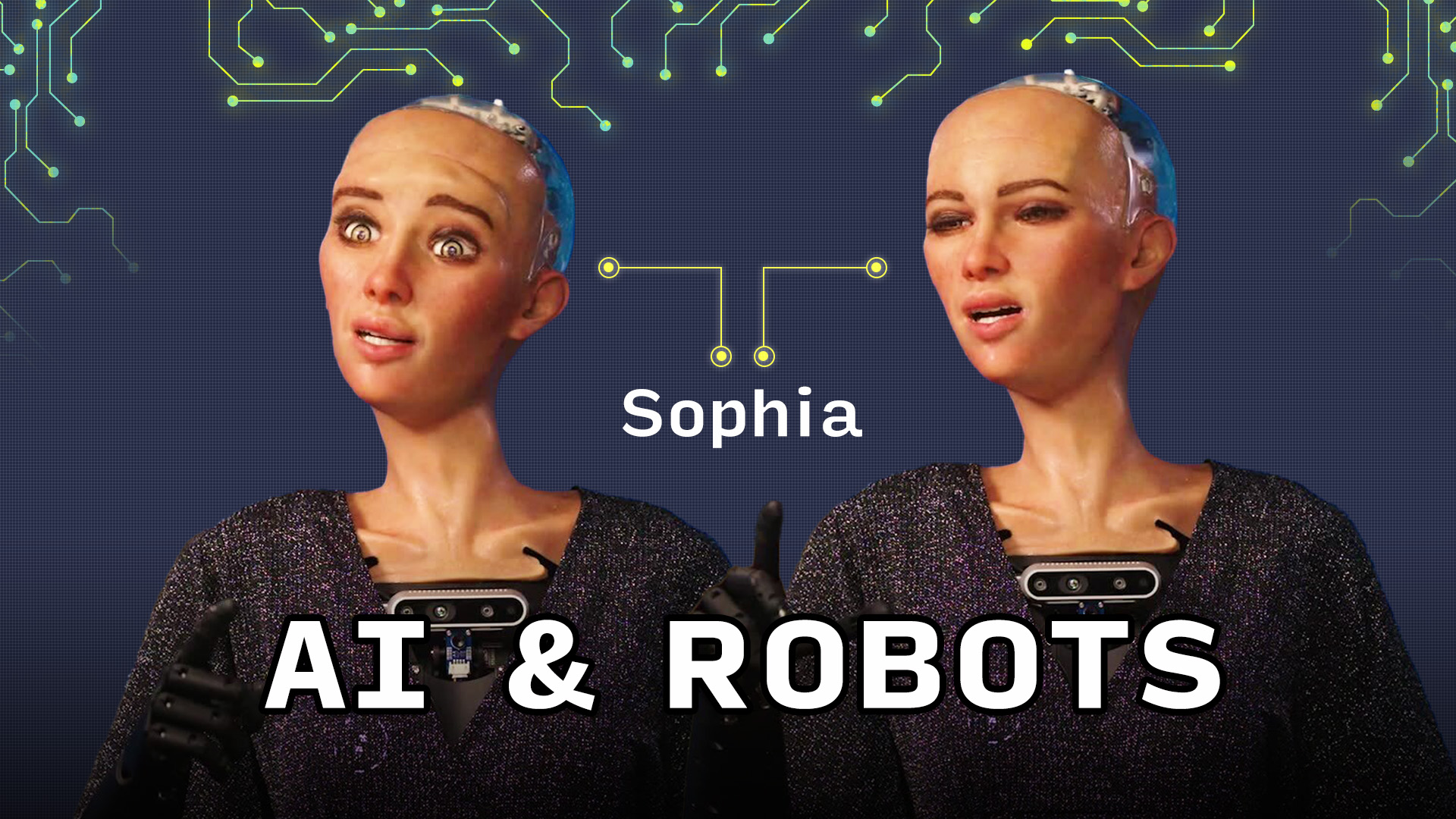 Hanson Robotics Robot Like A Human Artificial Intelligence Sophia