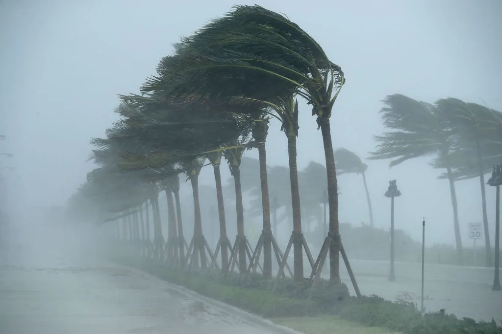 Florida is already bouncing back.
