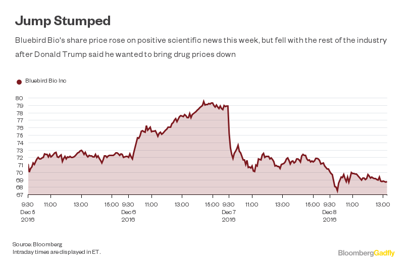Bluebird Bio Share Sale Perfect Timing Bloomberg