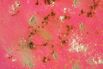 1469111227_etc_powders31-h