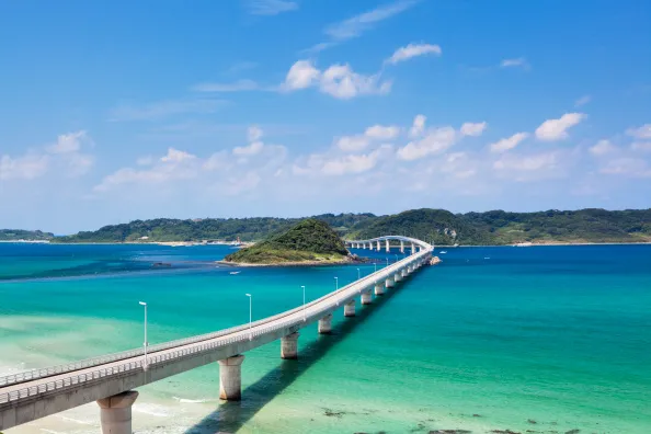 No country does bridges to nowhere like Japan.
