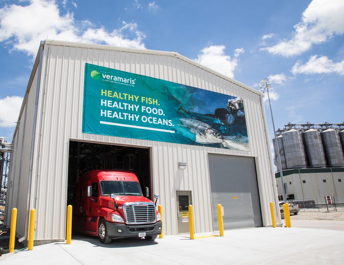 Landlocked Nebraska Town May Hold Key to Fish Farming Quandary Bloomberg