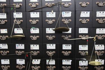 Chinese Medicine Cabinet