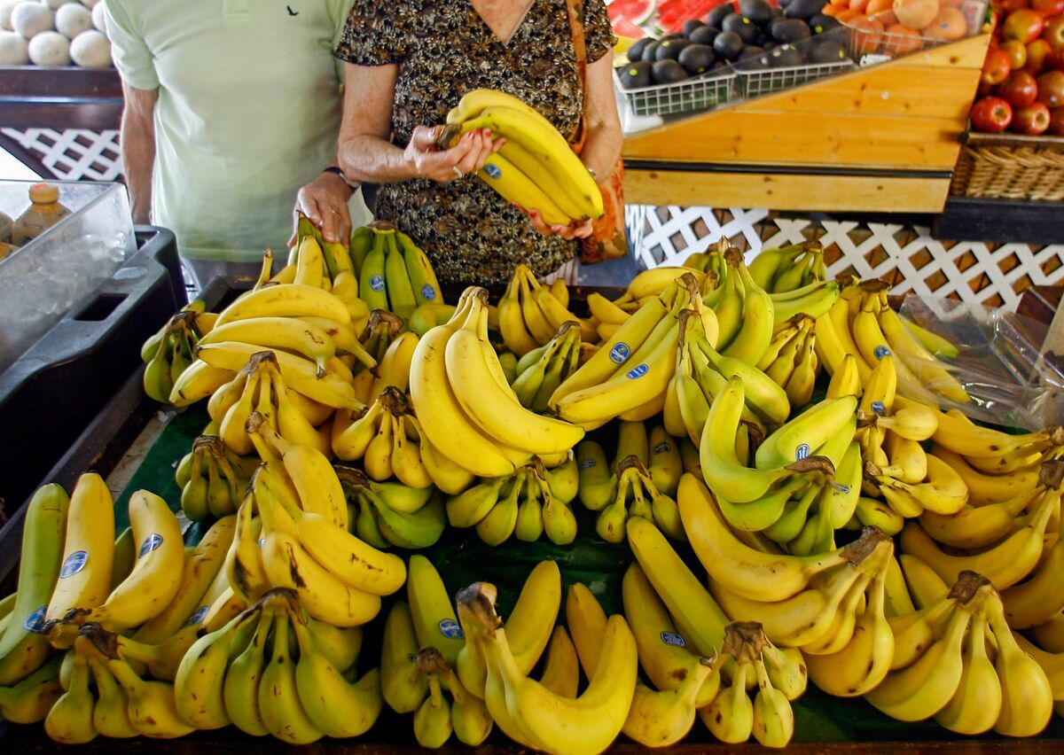 At Risk Menu Ideas Chiquita Sees Cheap Bananas at Risk on El Niño Supply Threat - Bloomberg