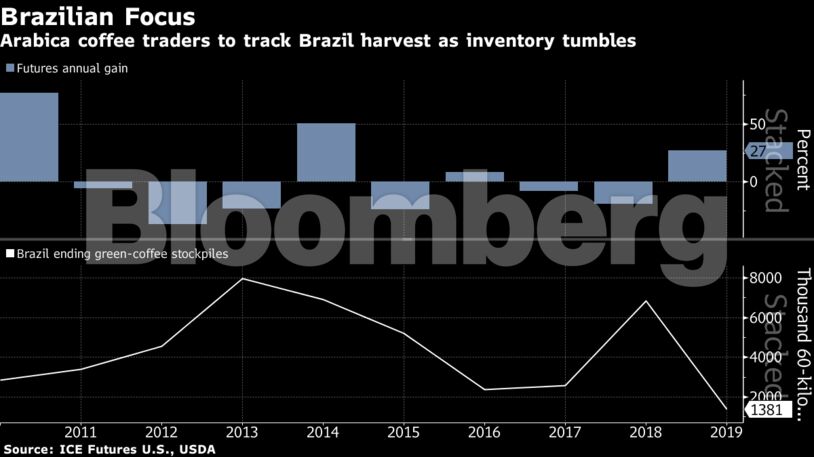 Arabica coffee traders to track Brazil harvest as inventory tumbles