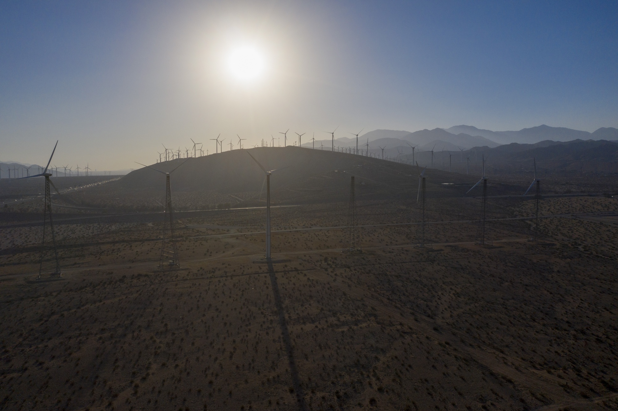 A wind farm in Whitewater, California.