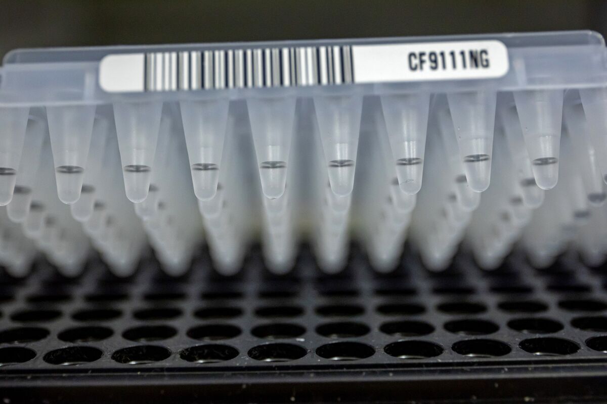 Trump’s Tariff Threat Sparks Race to Find US Drug Manufacturers