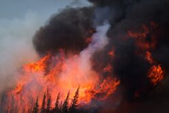 Oil Sands Blaze Forces 80,000 Canadians to Flee Their Homes