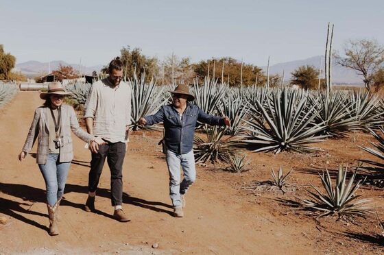 Fighting Environmental Degradation, One Bottle of Fancy Mezcal at a Time