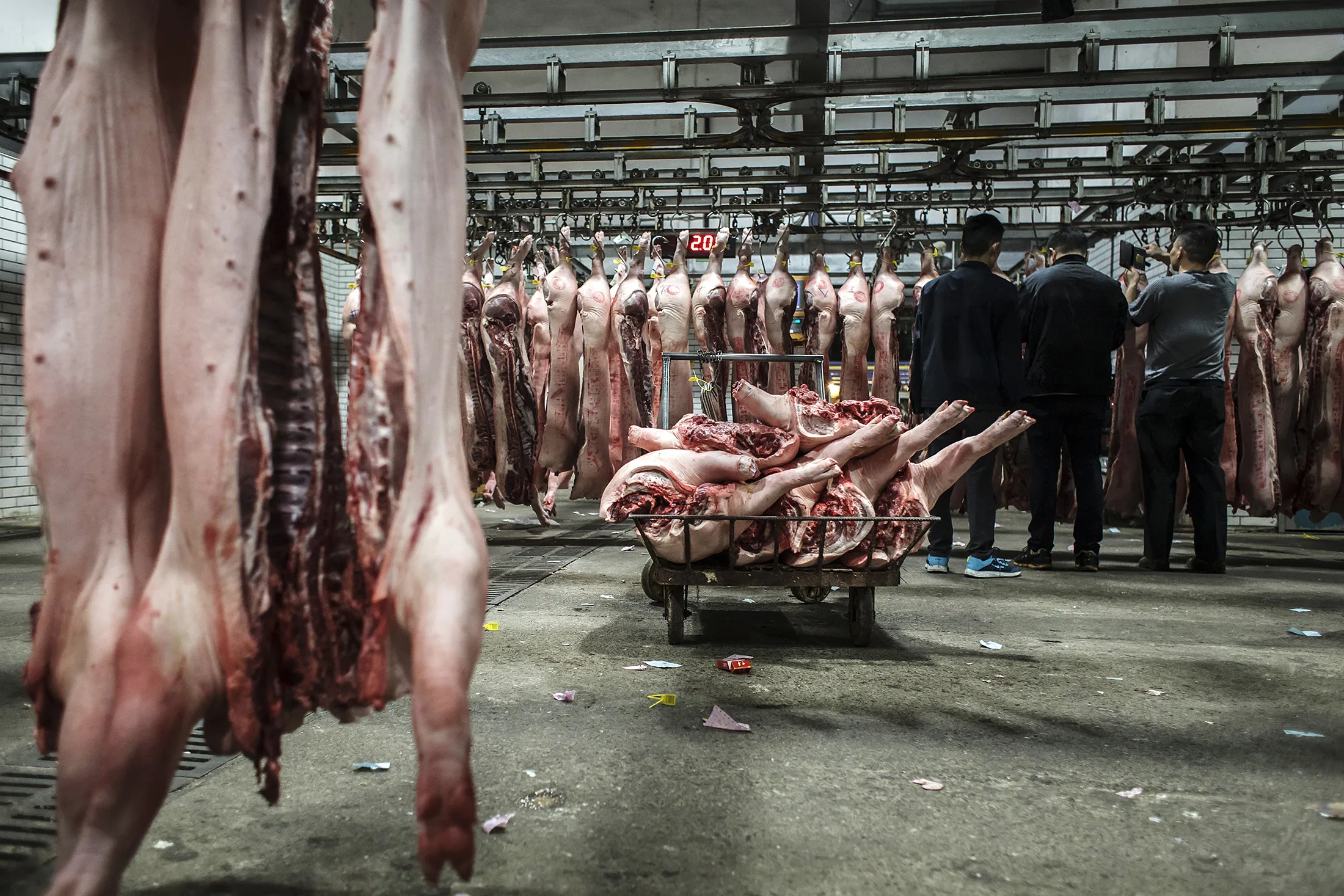 Inside A Pork Wholesale Market As Virus Threatens Half The World's Pigs