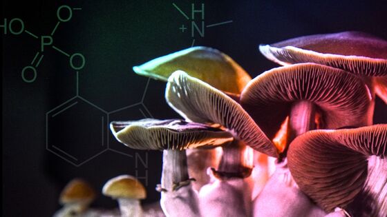 Why Psychedelics, Big in the 1960s, Are Drawing New Interest Now