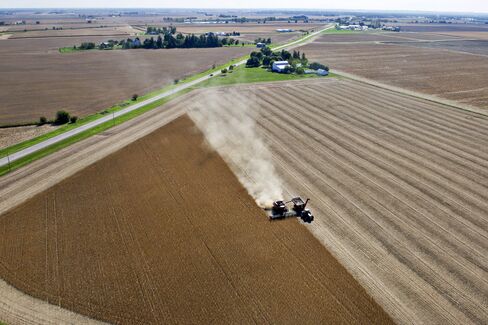 Farmland Boom Provides Bright Spot