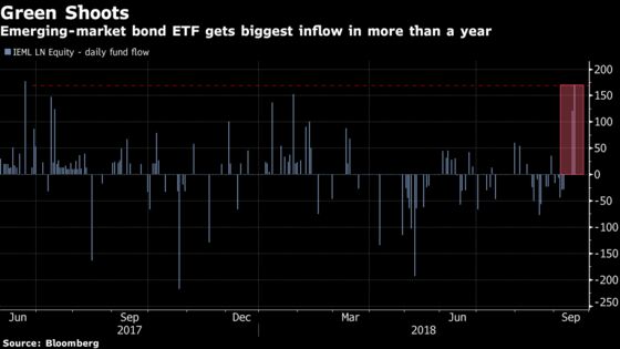 Is the Emerging Markets Sell-Off Over? Fund Sees Biggest Inflow In a Year