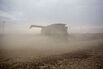 farming soy farm 