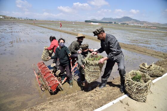 Storms, Covid Raise Fear of Worst North Korea Famine Since 1990s