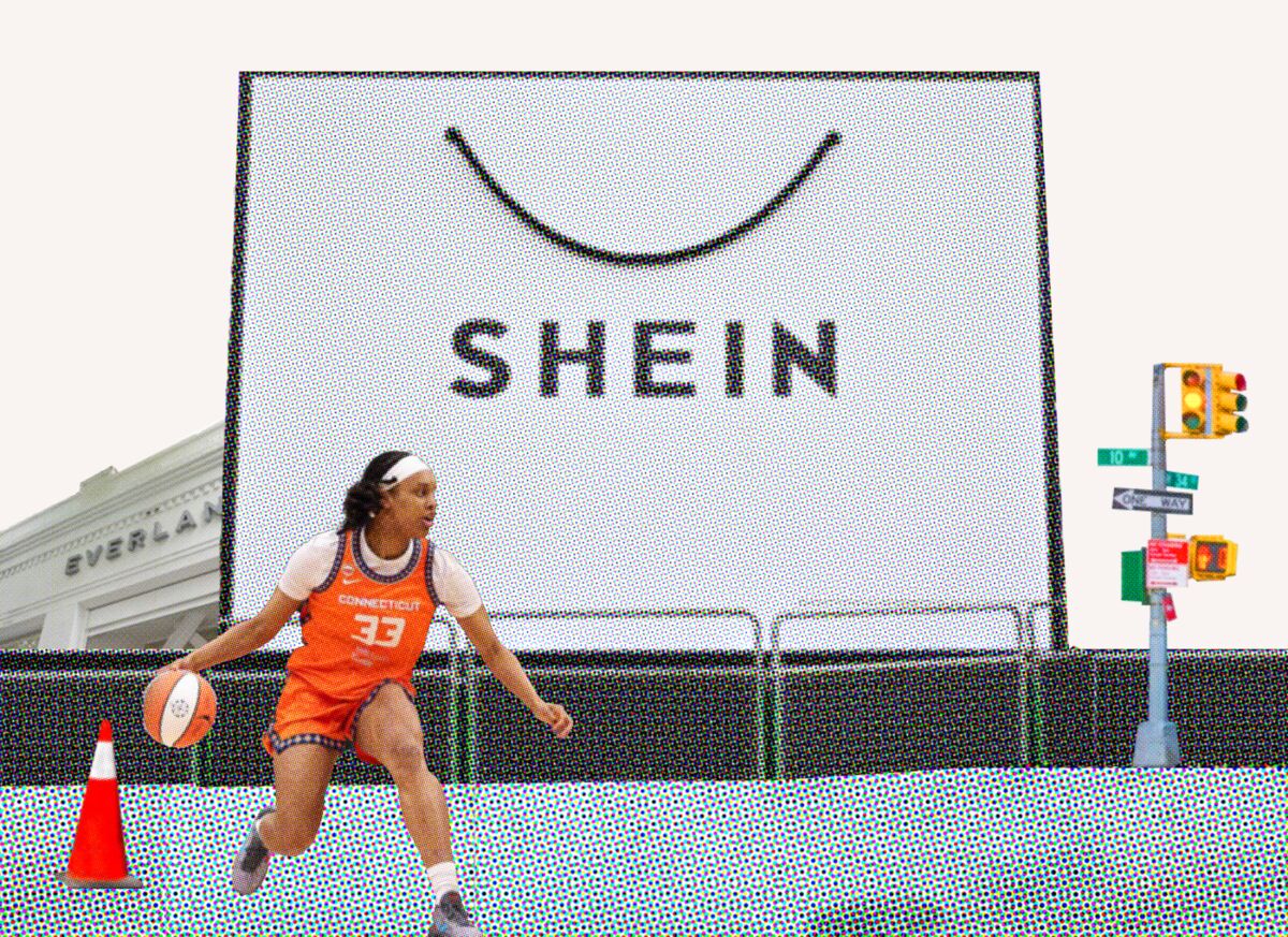 The Meteoric Rise of the WNBA