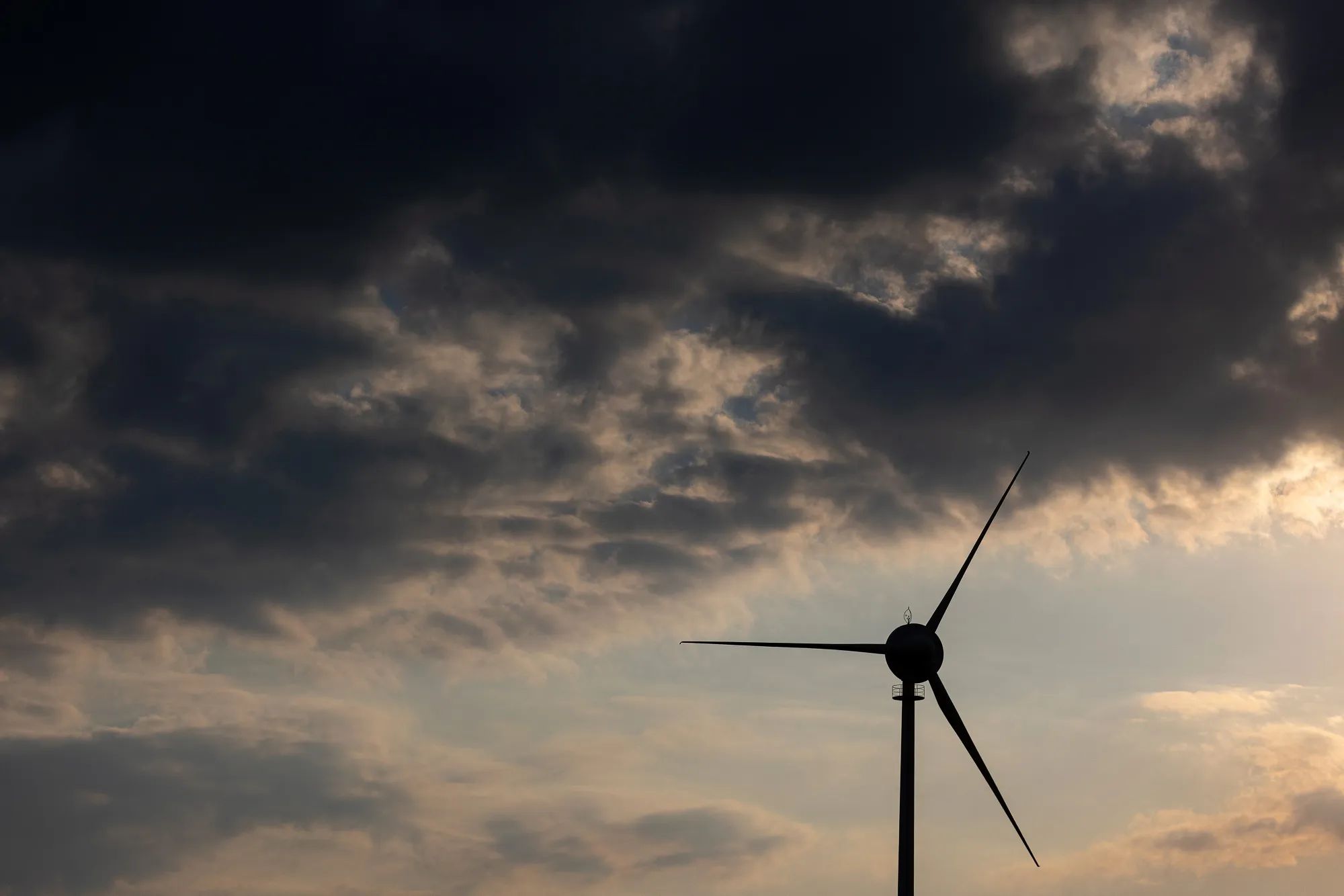 Wind Turbines in Brandenburg Region as Green Solutions to Russian Gas Stymied by Europe’s Red Tape 