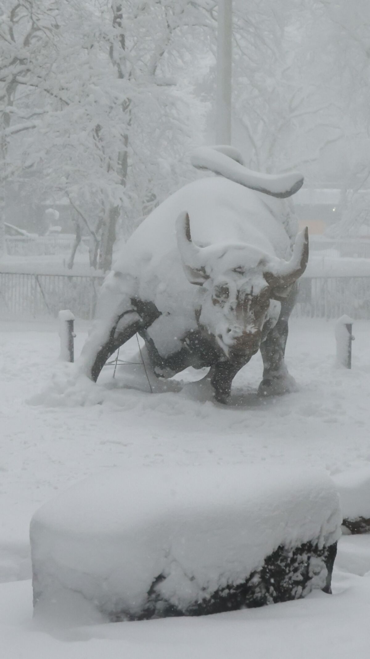 NYC Reopens Roads, Bridges as Blizzard Continues To Snarl Travel 