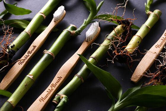 Swedish Bamboo Toothbrush Shows Allure of Sustainable Investing