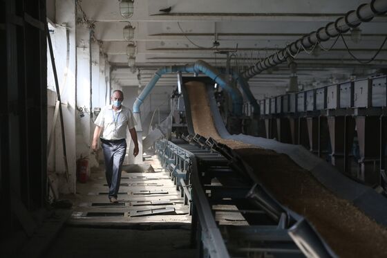 Russian Farmers Undeterred by Export Crackdown, at Least for Now