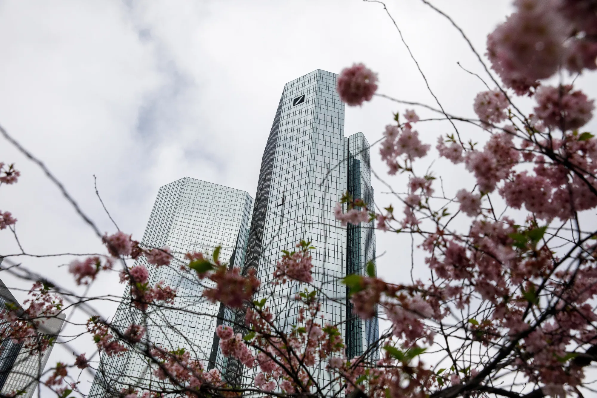 Tree blossom stands in front of the twin tower skyscraper headquarters of Deutsche Bank AG in Frankfurt, Germany, on Monday, April 9, 2018. Deutsche Bank AG's new Chief Executive Officer Christian Sewing said the lender needs to be faster at making decisions and clear out unnecessary bureaucracy as he set out his first goals as head of Germany’s largest lender.