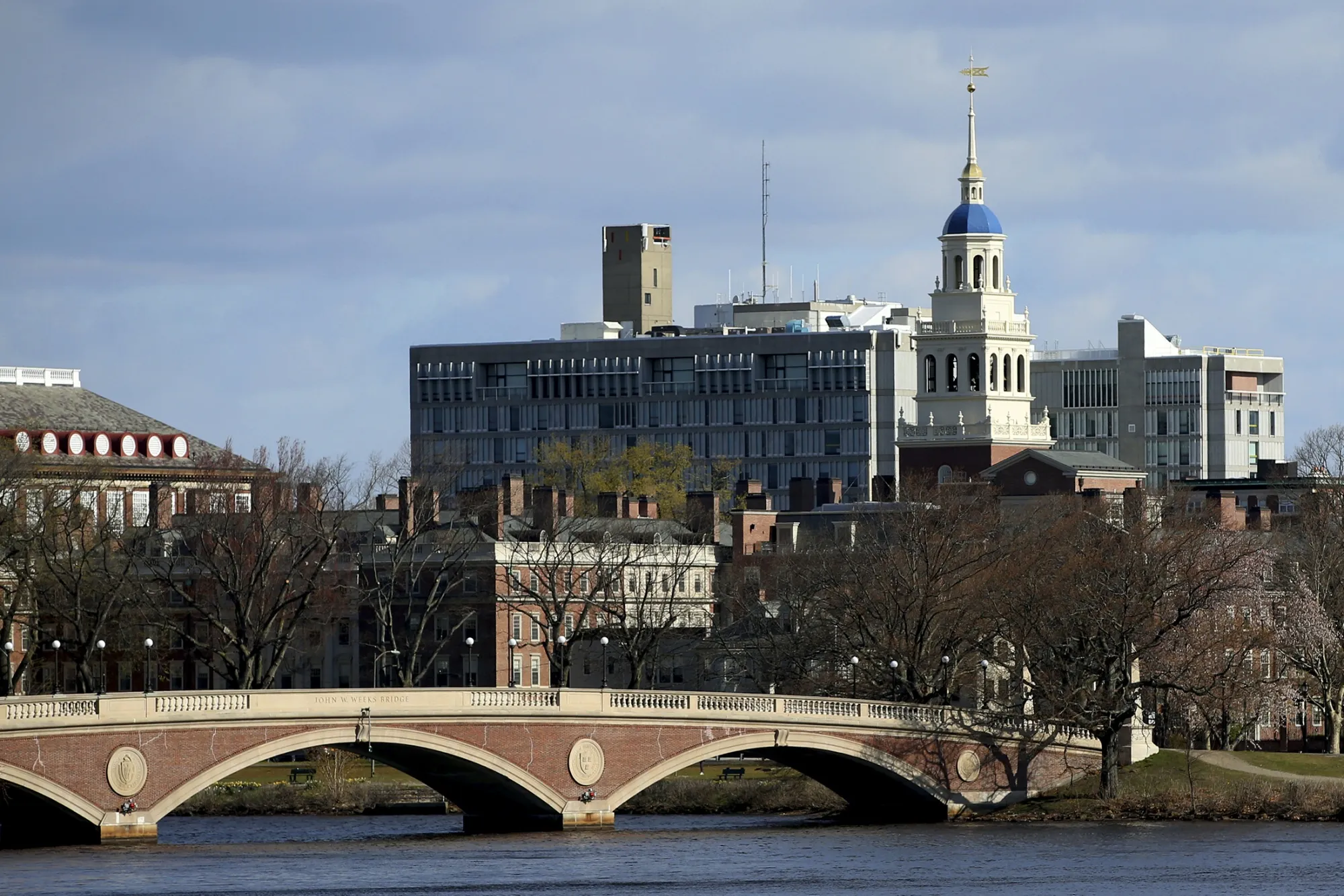 Harvard University