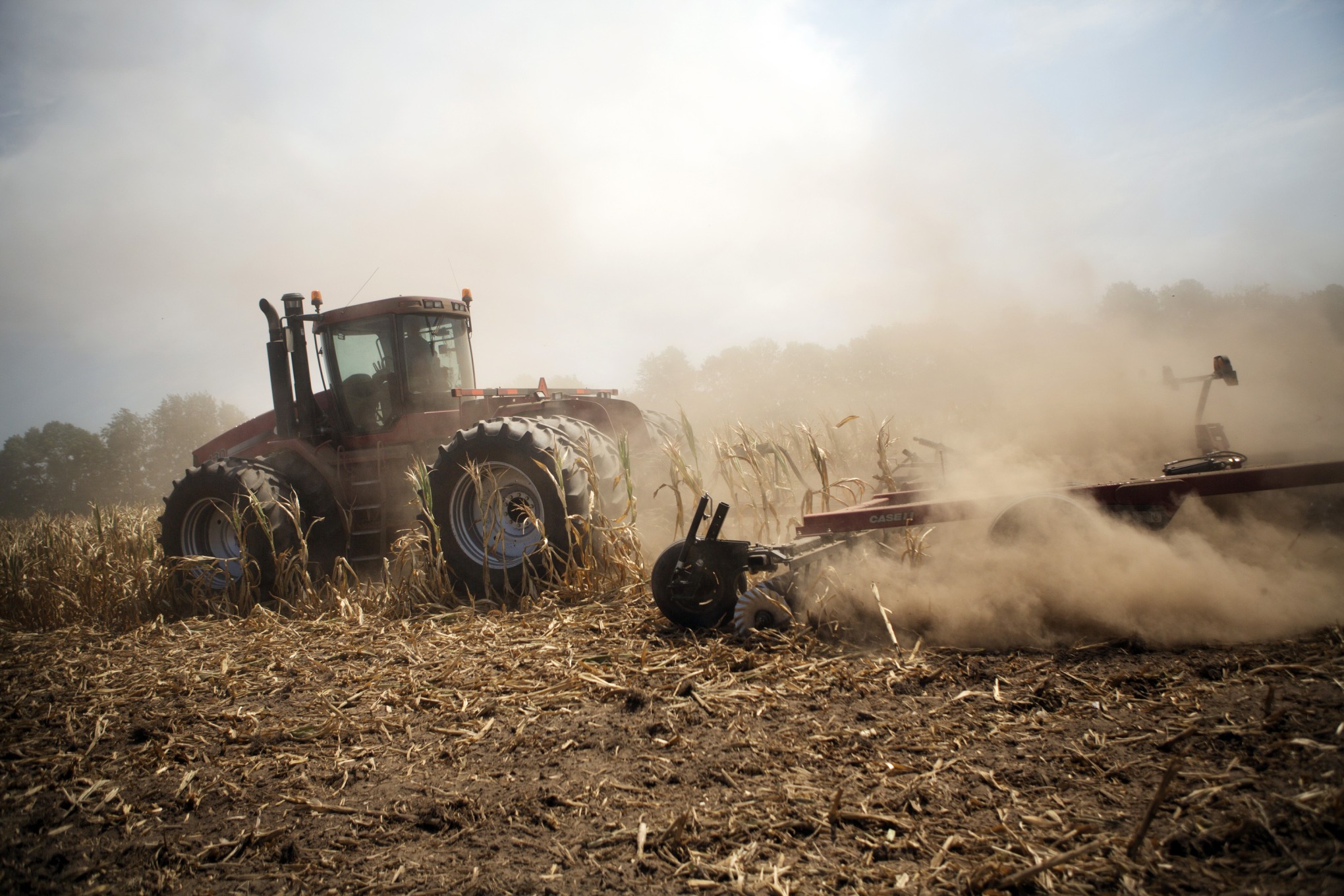 A tractor cuts down corn in a field designated as zero yield on a farm near Terre Haute, Indiana, in 2012.&nbsp;