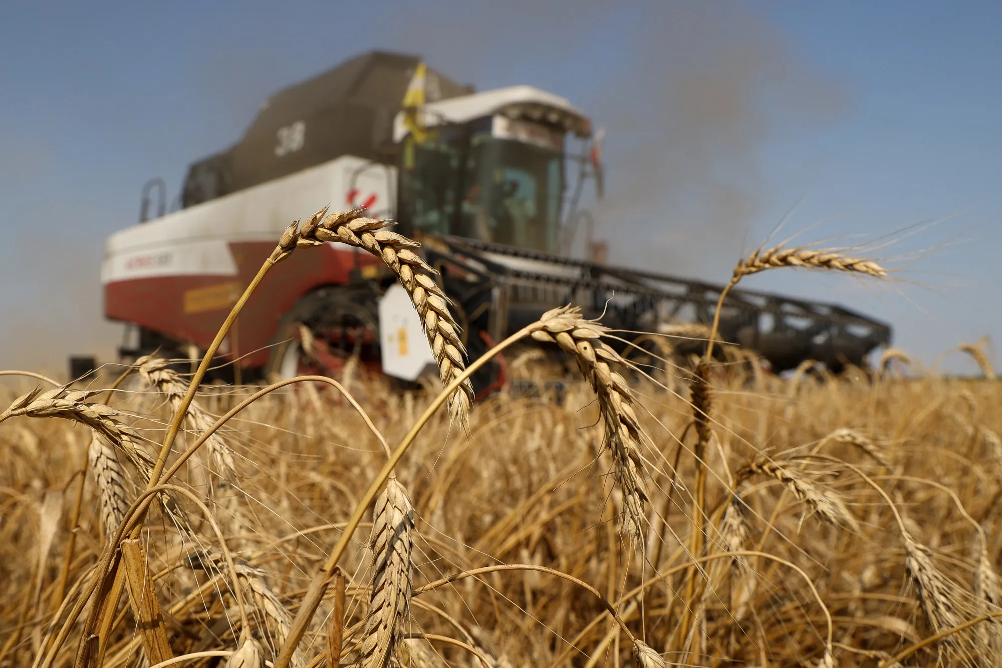 A combine harvester&nbsp;drives through a wheat field&nbsp;near Stavropol, Russia.