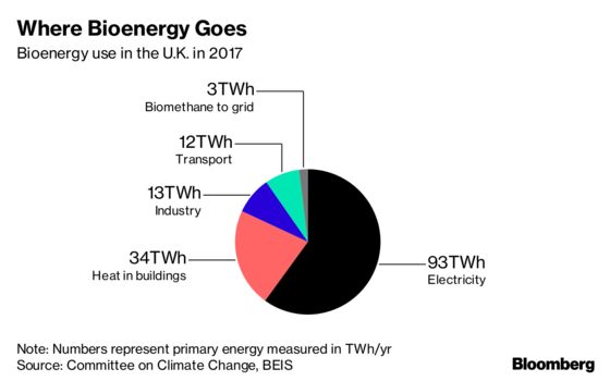 U.K. Told to Scrutinize Biomass Use by Power Industry