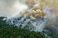 relates to Brazilian Amazon’s Tipping Point May Already Be Here