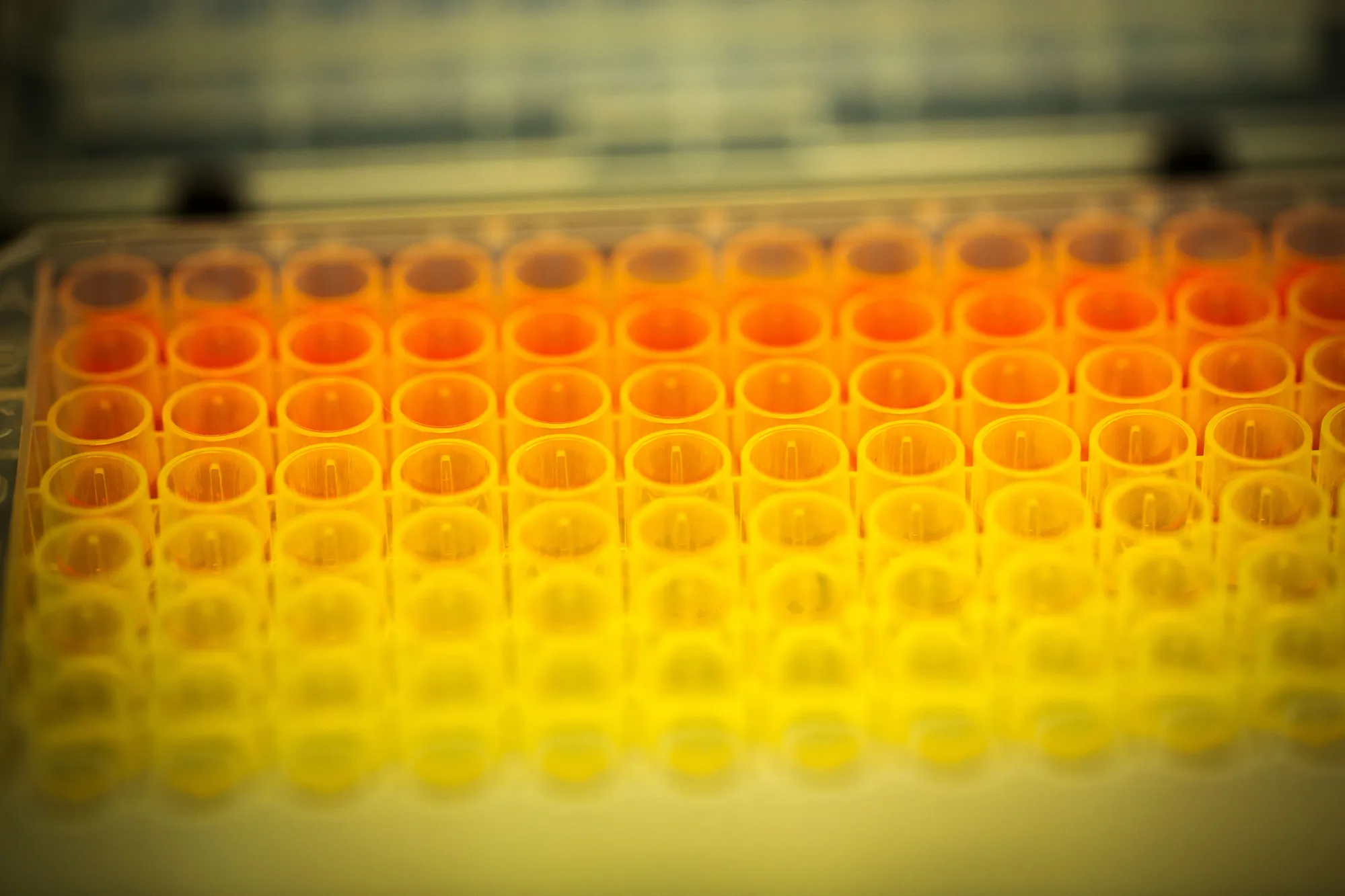 Novo Nordisk A/S Shakes Up Research in Hunt for New Drugs
