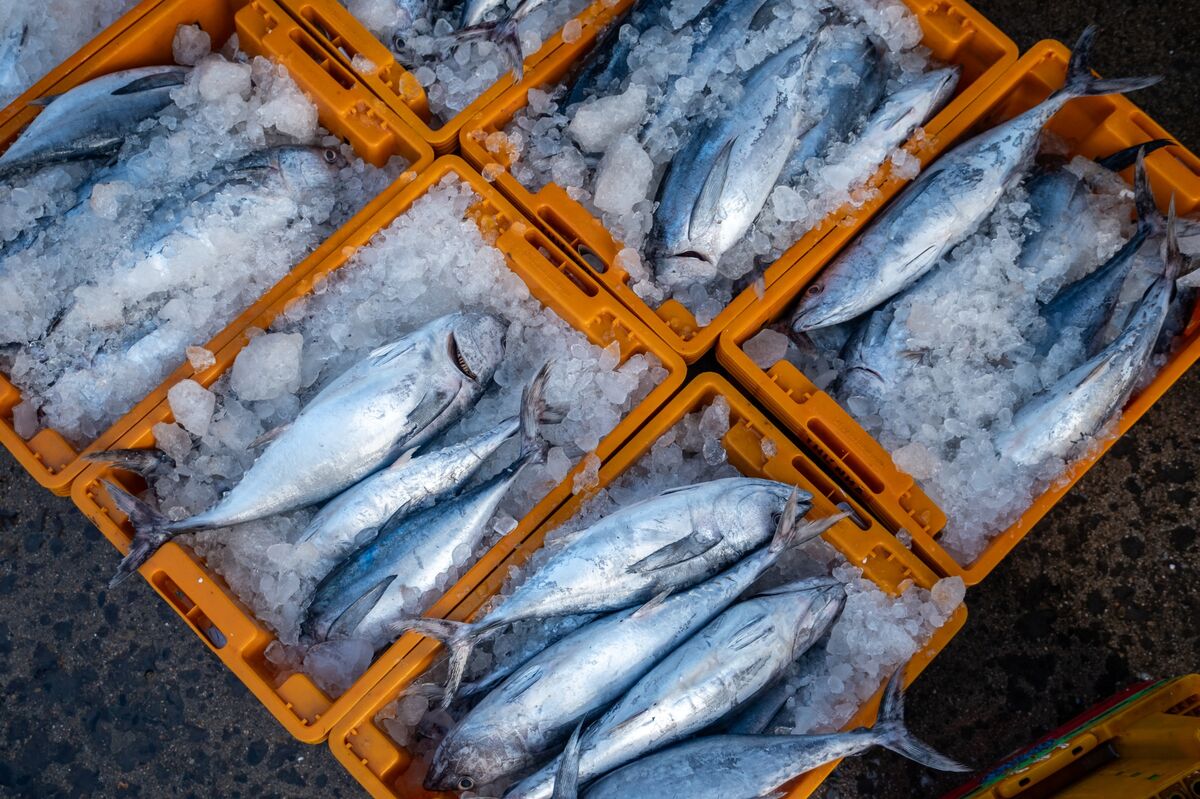 Vietnam Urges US to Rethink Seafood Ban as Trade Talks Grind On