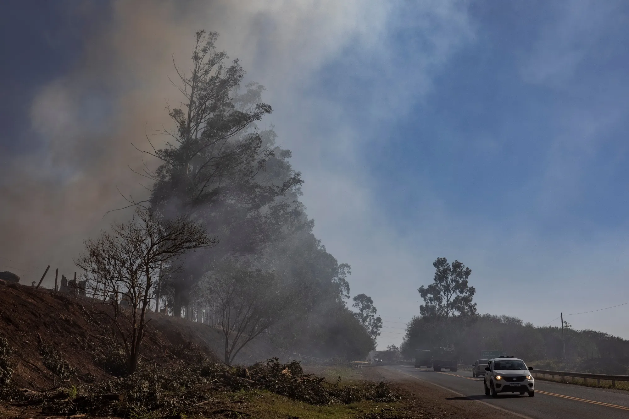 Burnt land along a road following wildfires in Riberaio Preto, Sao Paulo state, Brazil, on Aug. 27.