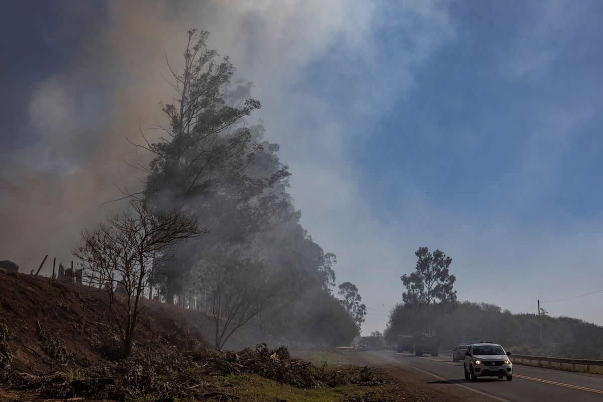 Amazon Jungle Fires Spew Toxic Smoke to Brazil's Largest City