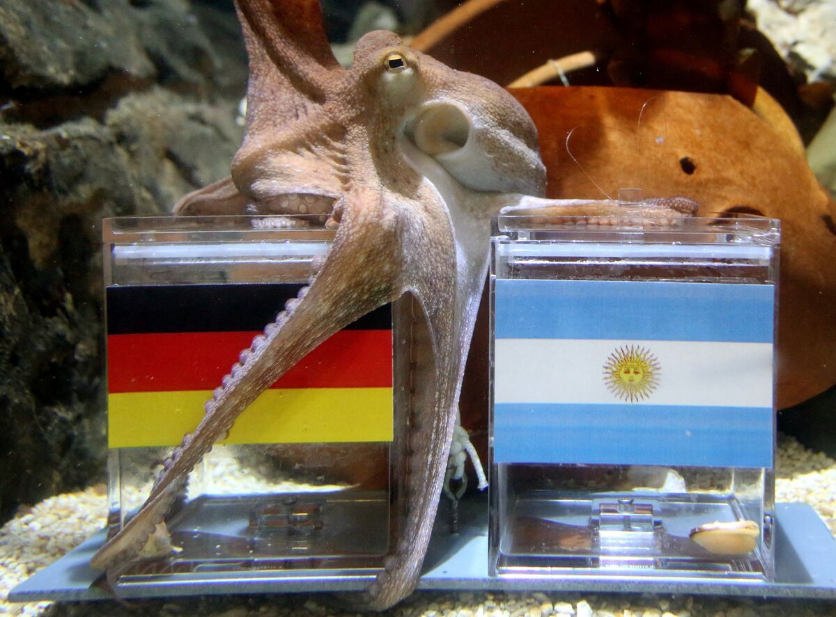bloomberg.com - Matthew Brooker - What the World Cup Can Tell Us About Finance