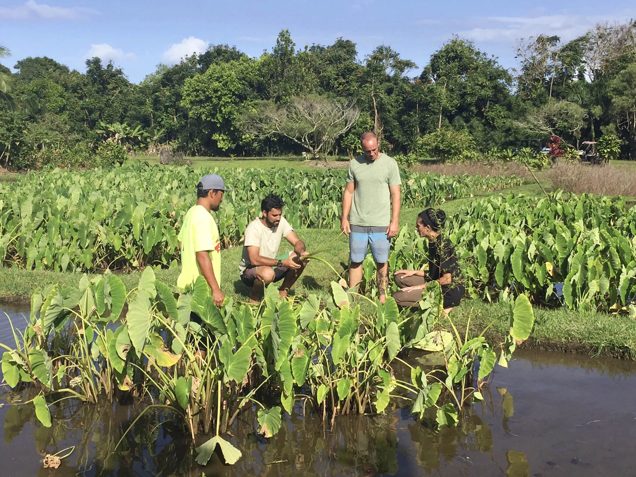 Moon Eating Diet: How to Live Your Life According to Lunar Phases -  Bloomberg