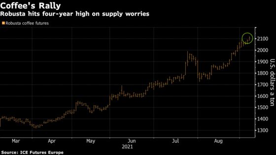 Robusta Coffee Extends Rally to Four-Year High on Crop Woes