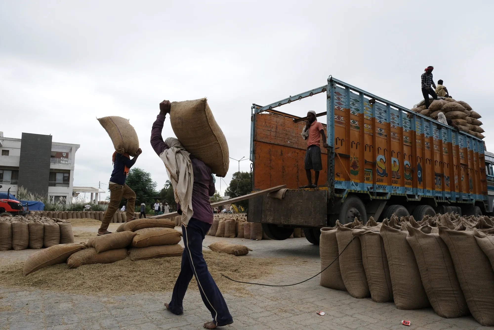Workers load bags of paddy rice at the grain market in Ambala, India.