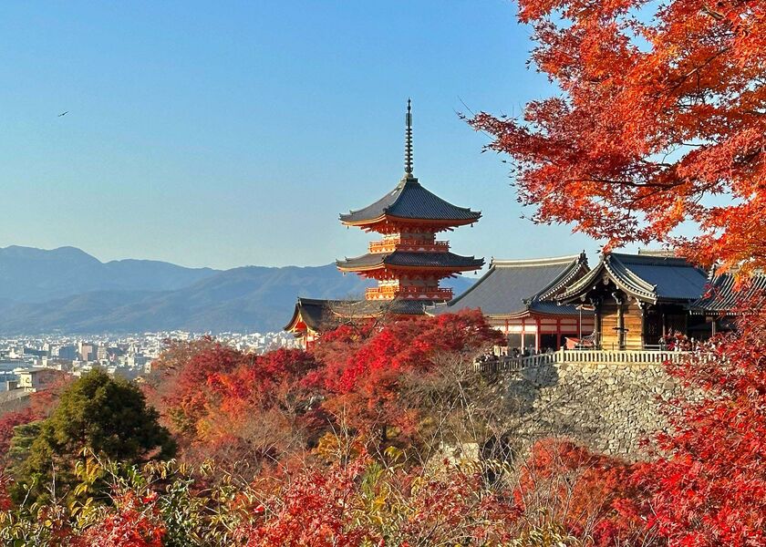 PURSUITS_WEB_Japan newsletter