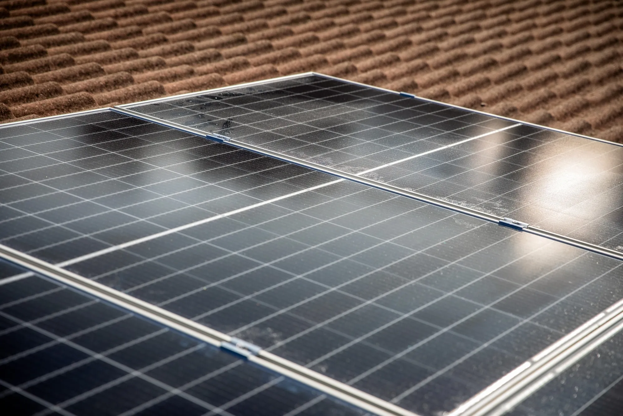 Solar Panel Farm