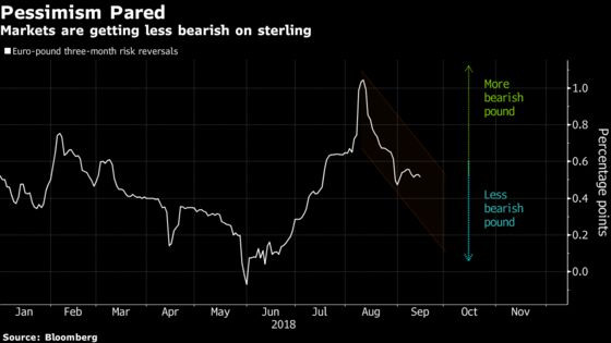 Pound Optimism Returning as Analysts See Gains Against the Euro