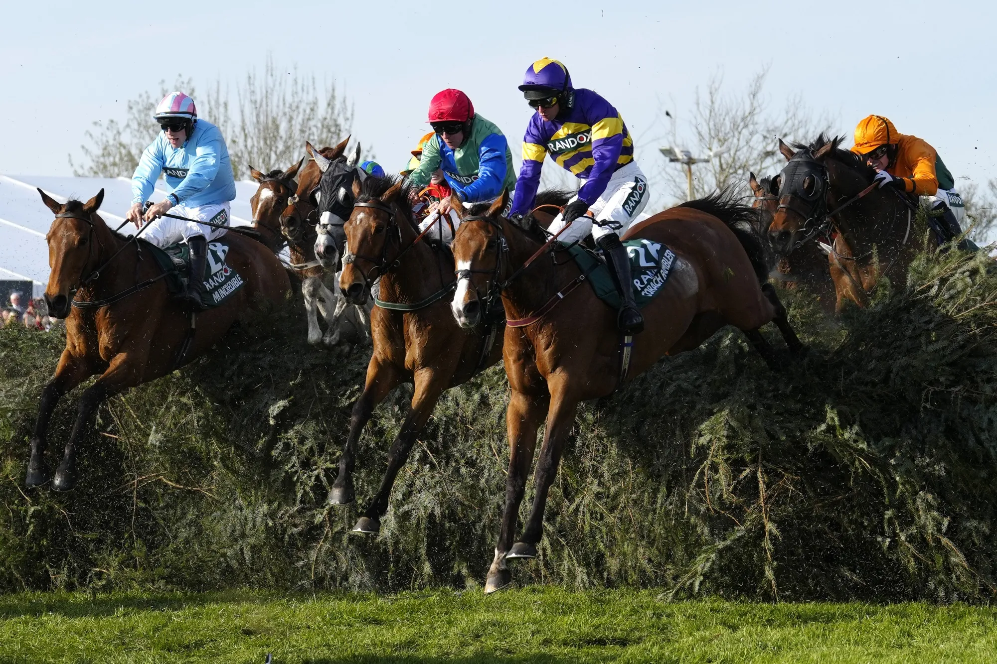 Implement Race Grand National to reduce number of horses to 34 and soften fences in ...