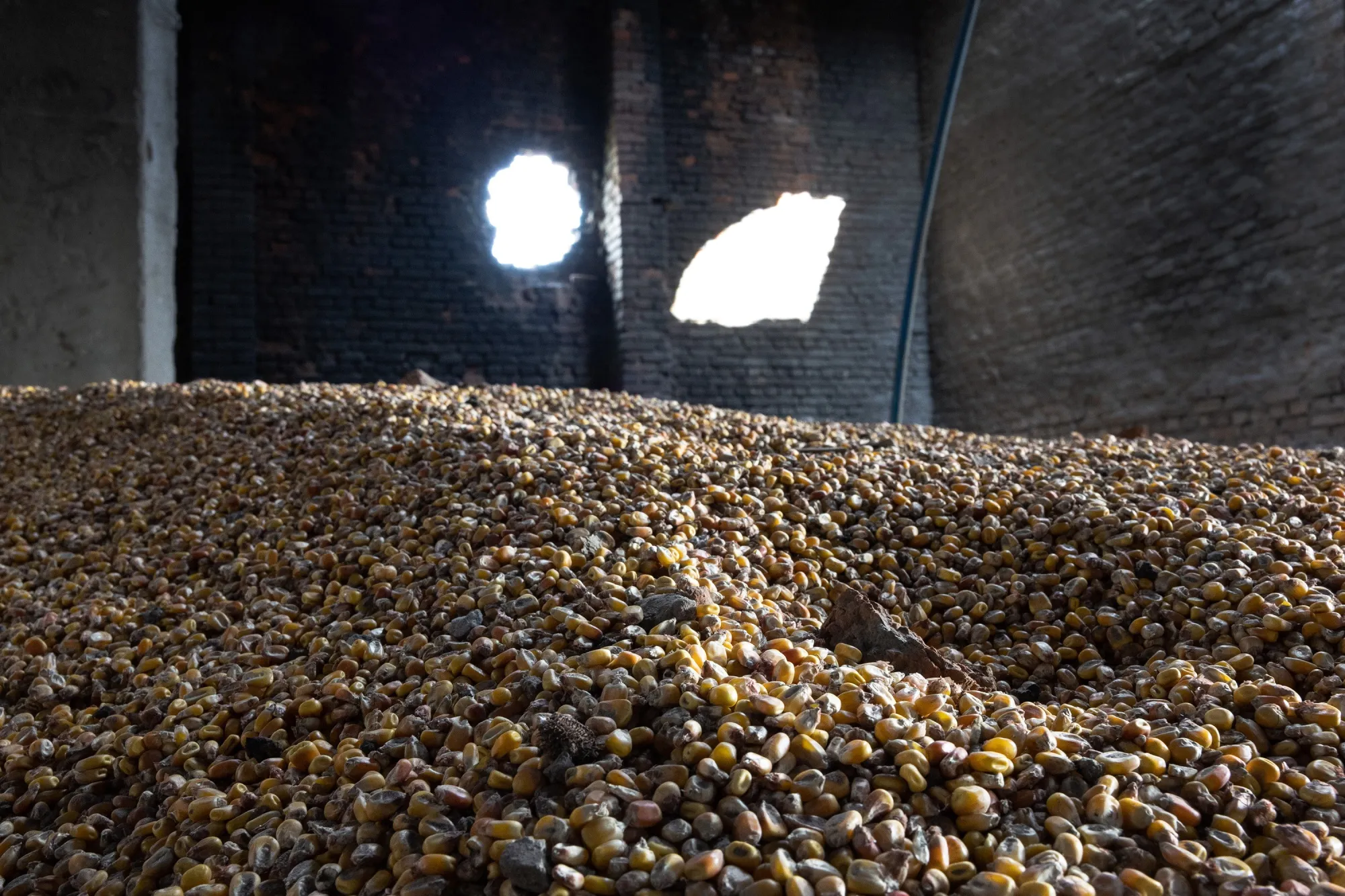 Corn lies scattered in a grain warehouse damaged by Russian tanks in Cherkska Lozova, Ukraine.&nbsp;