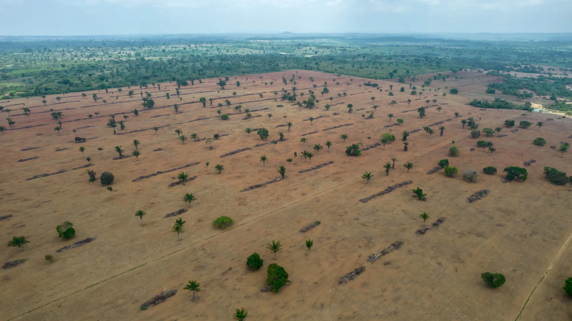 Deforested land for cattle near Xinguara, Para state, Brazil.
