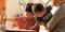 Best Place to Raise Kids in New York: Hampton Manor